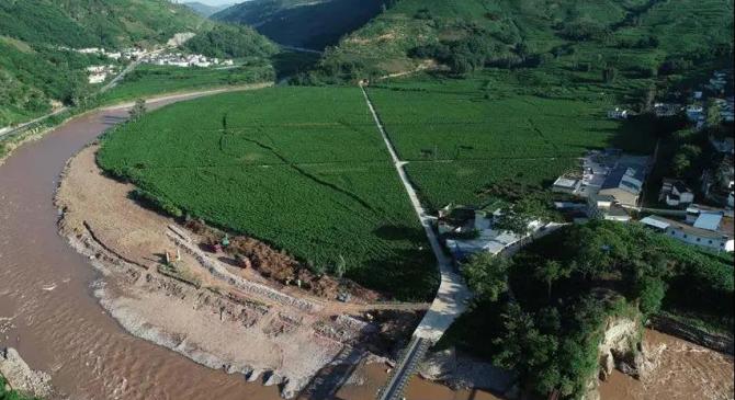 夏日的金桑庄园，美不胜收