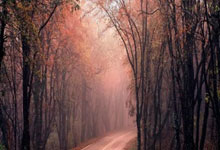 那年盛夏的爱与暖  魏鑫桂 / 文