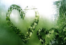 情感素描二题  南也 / 文